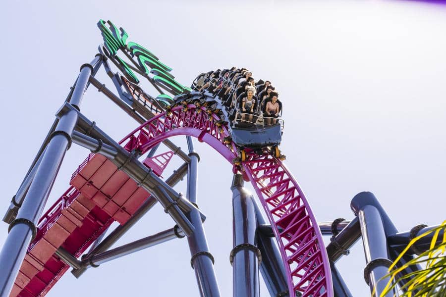 picture of people on roller coaster