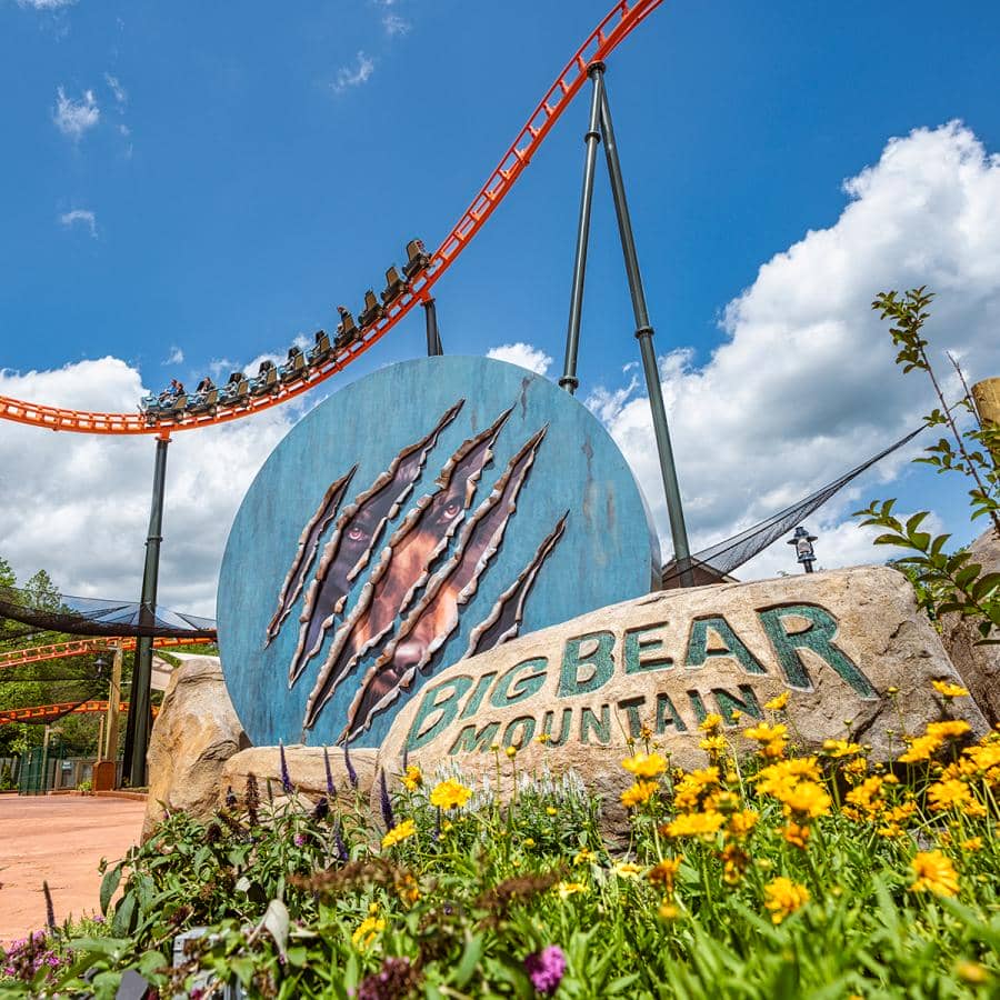 Big Bear Mountain Roller Coaster at Dollywood