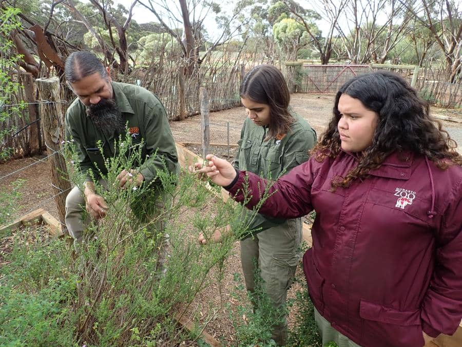 Monarto Safari Park, part of Zoos South Australia, offers educational opportunities