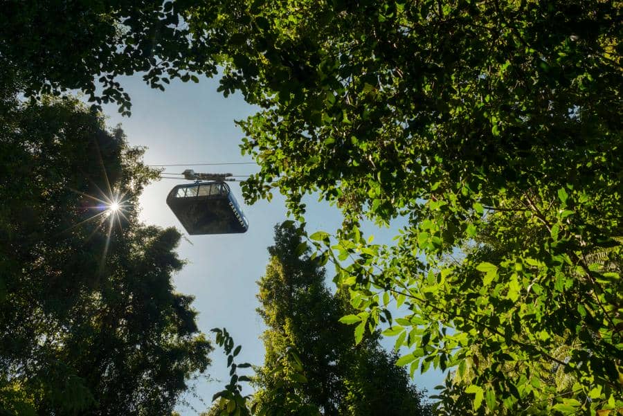 Rainforest view of Scenic World located in New South Wales, Australia, with silhouette of a cableway in the sky and wires in center frame