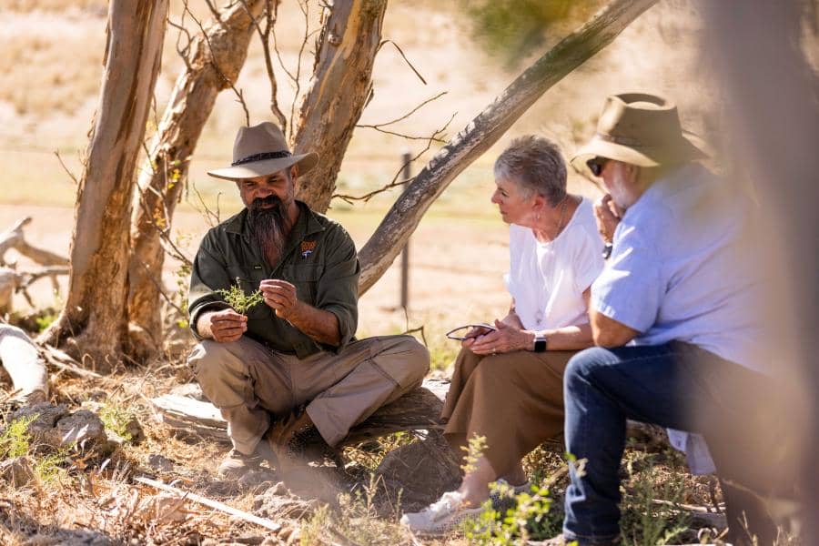 Zoos South Australia has land acknowledgment statements on the homepages of both the Adelaide Zoo and Monarto Safari Park