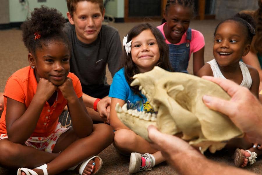 Children are gathered in a circle, observing a skeletal mock-up of a dinosaur's head