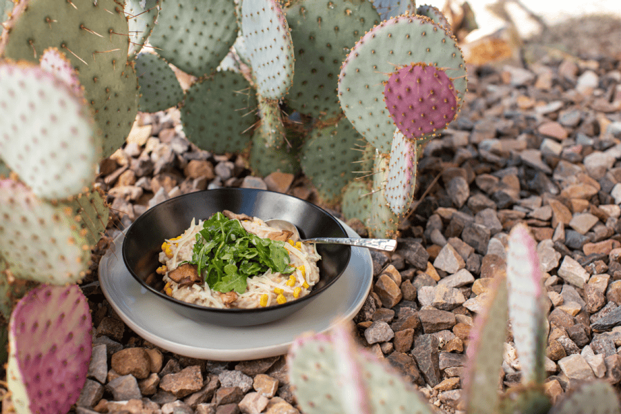 Gertrudes Risotto - Desert Botanical Gaden