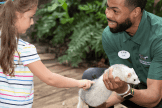 Audubon Guest with Ferret