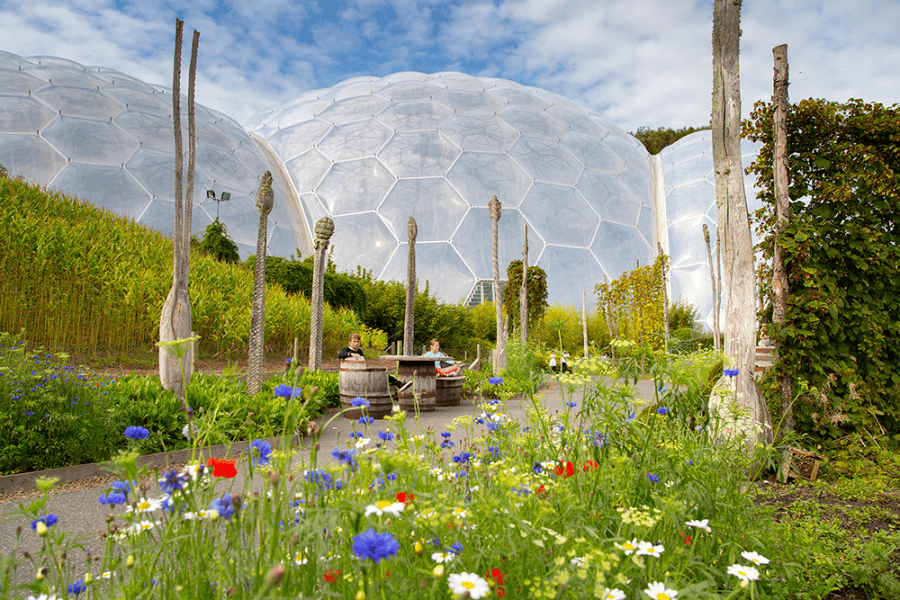 Biomes at The Eden Project 