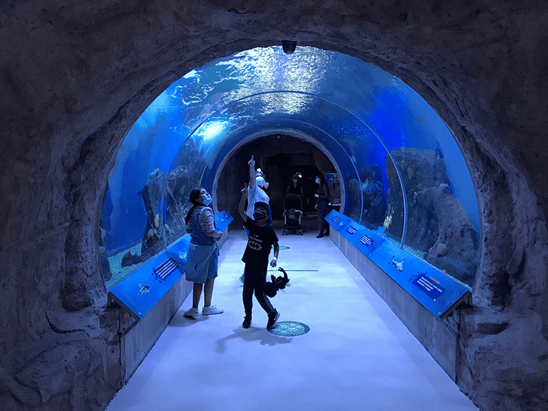 Family at aquarium 