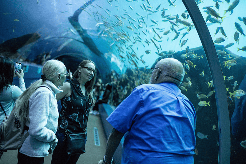 Guests interact with staff member at Georgia Aquarium 