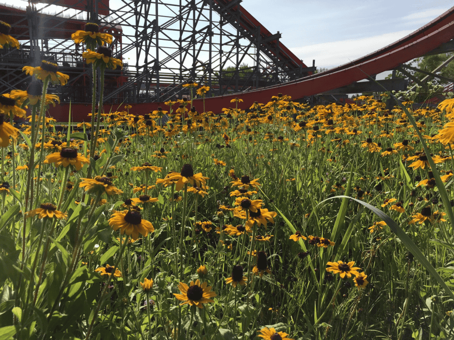 Kentucky Kingdom