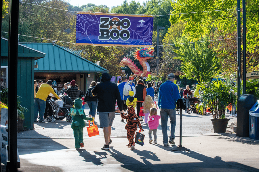 ZooBoo Event